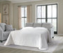Adlai Sofa Sleeper - Valley Furniture (Rohnert Park, CA)