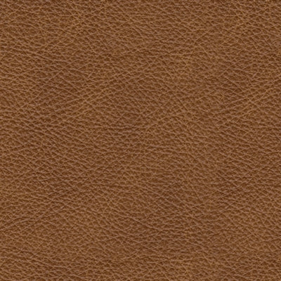 Carianna Sofa Sleeper - Valley Furniture (Rohnert Park, CA)