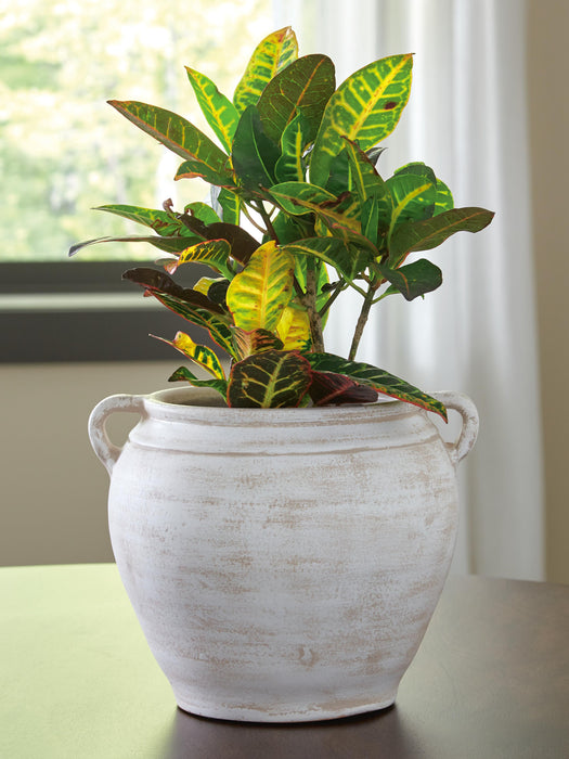 Meadie Vase - Valley Furniture (Rohnert Park, CA)