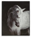 Archerwick Wall Art - Valley Furniture (Rohnert Park, CA)