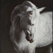 Archerwick Wall Art - Valley Furniture (Rohnert Park, CA)