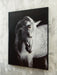 Archerwick Wall Art - Valley Furniture (Rohnert Park, CA)