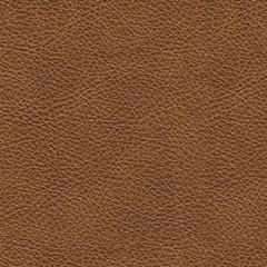 Carianna Sofa - Valley Furniture (Rohnert Park, CA)