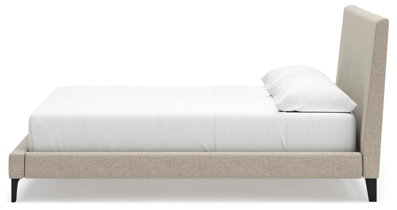 Cielden Upholstered Bed with Roll Slats - Valley Furniture (Rohnert Park, CA)