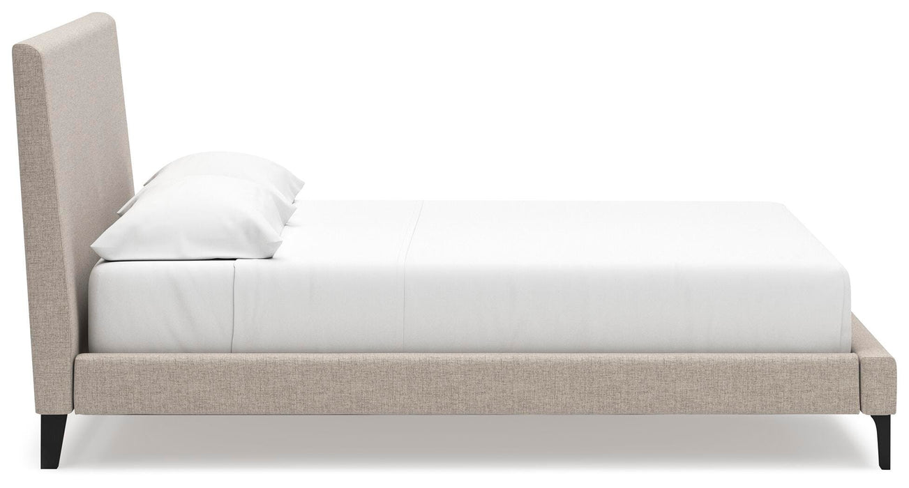 Cielden Upholstered Bed with Roll Slats - Valley Furniture (Rohnert Park, CA)