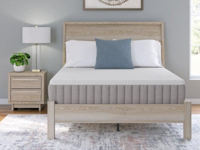 Terra Sleep Firm Mattress - Valley Furniture (Rohnert Park, CA)
